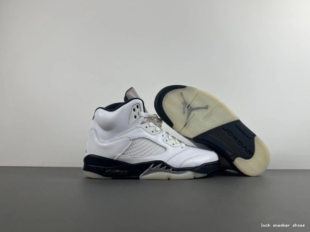 Reps LUCY 5 AIR DD0587-110 'WHITE JORDAN RETRO BLACK' 0807